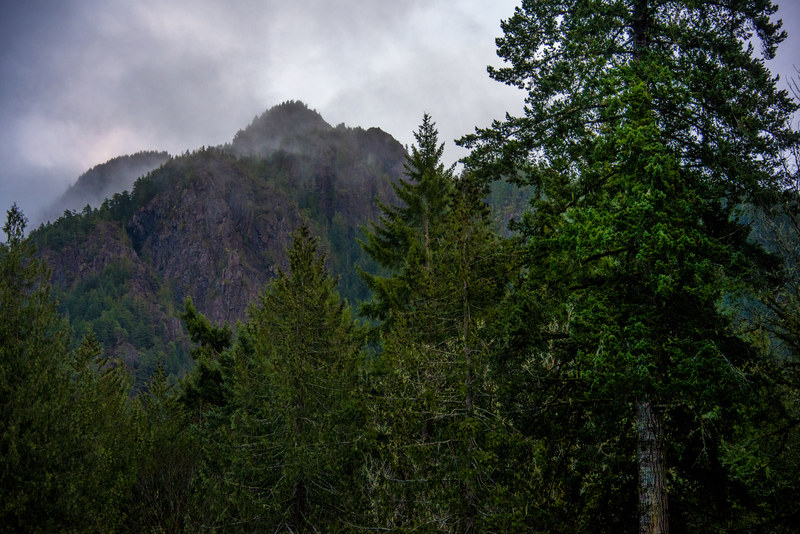 Rocky mountain peak emerging from storm clouds with dark conifer treeline below near Lake Crescent